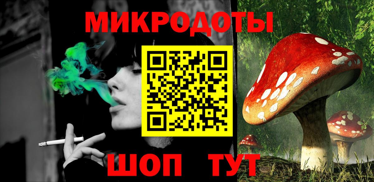 Псилоцибиновые грибы мицелий Ленинск-Кузнецкий